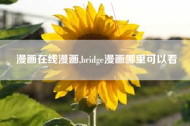 漫画在线漫画,bridge漫画哪里可以看