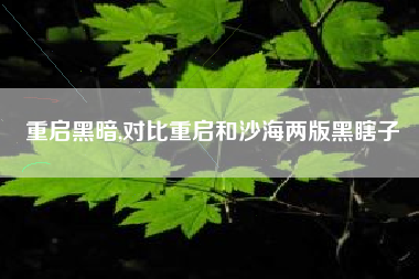 重启黑暗,对比重启和沙海两版黑瞎子
