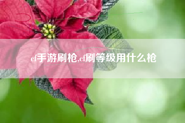 cf手游刷枪,cf刷等级用什么枪