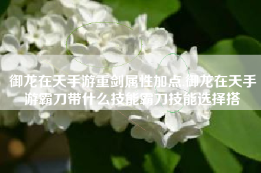 御龙在天手游重剑属性加点,御龙在天手游霸刀带什么技能霸刀技能选择搭