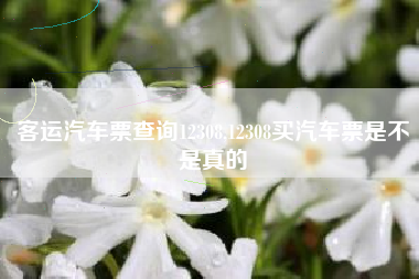 客运汽车票查询12308,12308买汽车票是不是真的