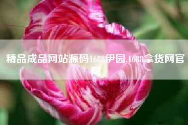 精品成品网站源码1688伊园,1688拿货网官网