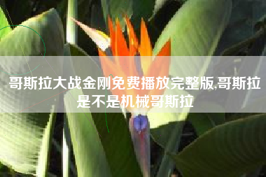 哥斯拉大战金刚免费播放完整版,哥斯拉是不是机械哥斯拉