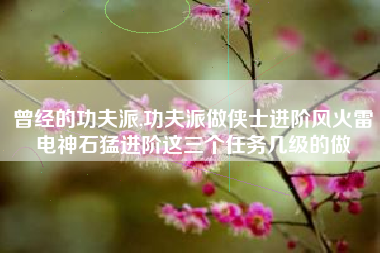 曾经的功夫派,功夫派做侠士进阶风火雷电神石猛进阶这三个任务几级的做