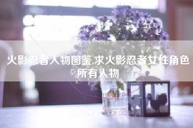 火影忍者人物图鉴,求火影忍者女性角色所有人物