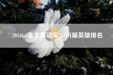 2016lpl春季赛冠军,lpl历届英雄排名