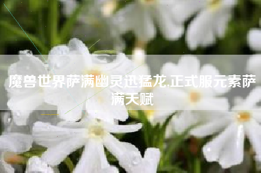 魔兽世界萨满幽灵迅猛龙,正式服元素萨满天赋