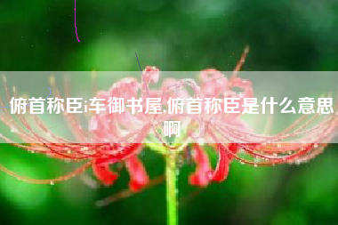 俯首称臣i车御书屋,俯首称臣是什么意思啊