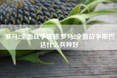 罗马2全面战争攻略,罗马2全面战争斯巴达什么兵种好