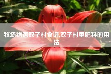 牧场物语双子村食谱,双子村里肥料的用法