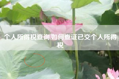 个人所得税查询,如何查证已交个人所得税