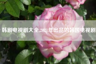 韩剧电视剧大全,2021年出品的韩国电视剧