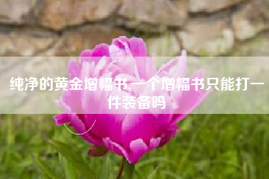 纯净的黄金增幅书,一个增幅书只能打一件装备吗