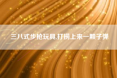三八式步枪玩具,打捞上来一颗子弹