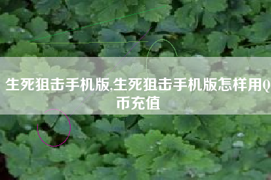 生死狙击手机版,生死狙击手机版怎样用Q币充值