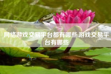 网络游戏交易平台都有哪些,游戏交易平台有哪些