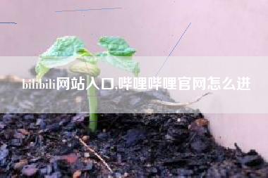 bilibili网站入口,哔哩哔哩官网怎么进