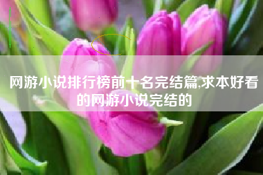 网游小说排行榜前十名完结篇,求本好看的网游小说完结的