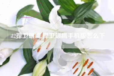il2捍卫雄鹰,捍卫雄鹰手机版怎么下
