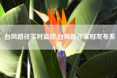 台风路径实时监控,台风路径实时发布系统