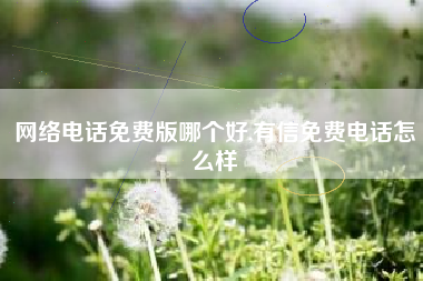 网络电话免费版哪个好,有信免费电话怎么样