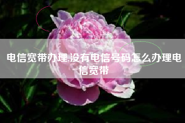 电信宽带办理,没有电信号码怎么办理电信宽带