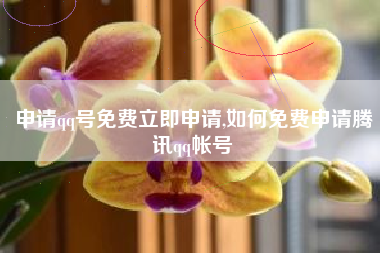 申请qq号免费立即申请,如何免费申请腾讯qq帐号