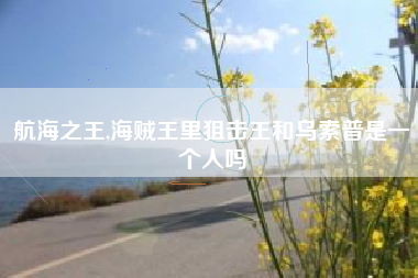 航海之王,海贼王里狙击王和乌索普是一个人吗