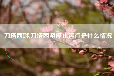 刀塔西游,刀塔西游停止运行是什么情况