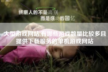 大型游戏网站,有哪些游戏数量比较多且提供下载服务的单机游戏网站
