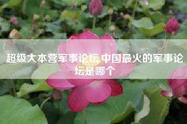 超级大本营军事论坛,中国最火的军事论坛是哪个