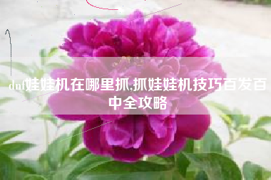 dnf娃娃机在哪里抓,抓娃娃机技巧百发百中全攻略