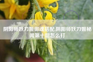 阴阳师妖刀姬御魂搭配,阴阳师妖刀姬秘闻第十层怎么打