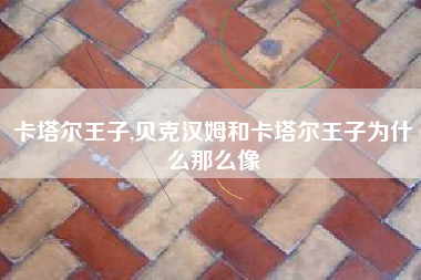 卡塔尔王子,贝克汉姆和卡塔尔王子为什么那么像