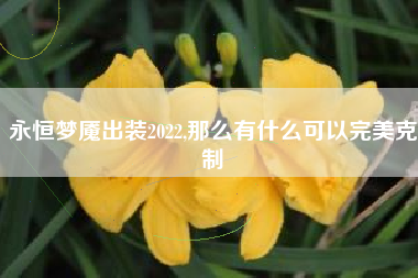 永恒梦魇出装2022,那么有什么可以完美克制