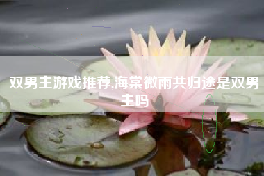 双男主游戏推荐,海棠微雨共归途是双男主吗
