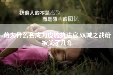 蔚为什么会成为皮城执法官,双城之战蔚被关了几年