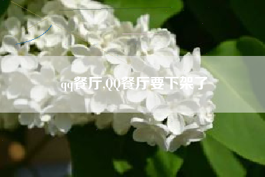 qq餐厅,QQ餐厅要下架了