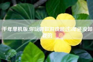 千年单机版,你玩哪款游戏超过5年还没卸载的