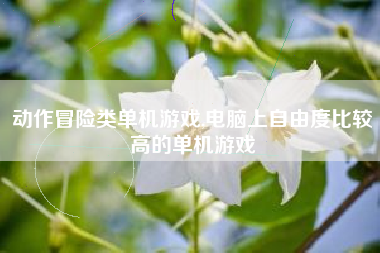 动作冒险类单机游戏,电脑上自由度比较高的单机游戏
