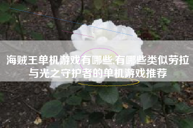 海贼王单机游戏有哪些,有哪些类似劳拉与光之守护者的单机游戏推荐