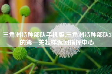 三角洲特种部队手机版,三角洲特种部队3的第一关怎样返回指挥中心