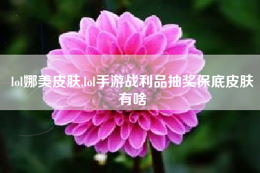 lol娜美皮肤,lol手游战利品抽奖保底皮肤有啥