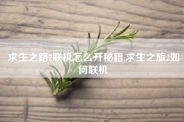 求生之路2联机怎么开秘籍,求生之旅2如何联机