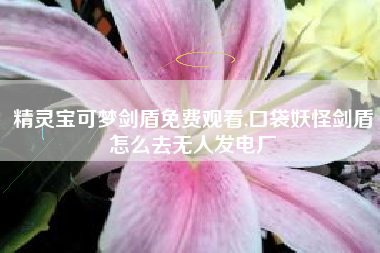 精灵宝可梦剑盾免费观看,口袋妖怪剑盾怎么去无人发电厂