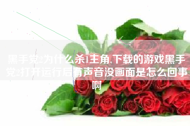 黑手党2为什么杀1主角,下载的游戏黑手党2打开运行后有声音没画面是怎么回事啊
