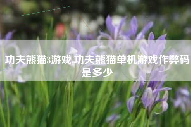 功夫熊猫3游戏,功夫熊猫单机游戏作弊码是多少