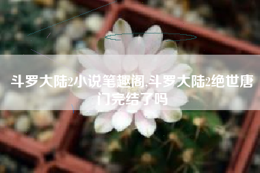 斗罗大陆2小说笔趣阁,斗罗大陆2绝世唐门完结了吗
