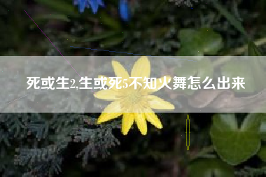 死或生2,生或死5不知火舞怎么出来