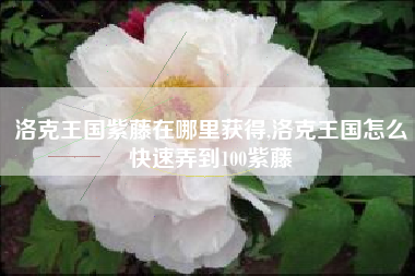 洛克王国紫藤在哪里获得,洛克王国怎么快速弄到100紫藤